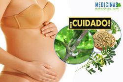 Em-plantas-prohibidas.jpg
