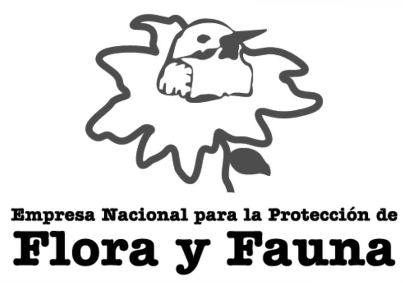 Archivo:Logo enpff.jpg