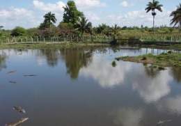 Cienaga-de-zapata-humedales-Cuba.jpg