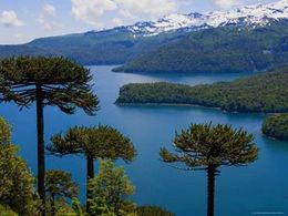 Lago conguillio.jpg