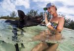 Content pig-beach-grand-bahama5.jpg