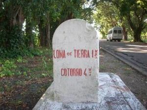 Cotorro19.JPG