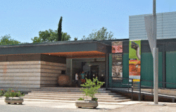 Museo ciencias naturales valencia-art121-715.gif