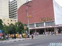 C.Yara.jpg