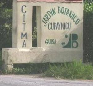 Jardin botanico Cupainicu1.JPG