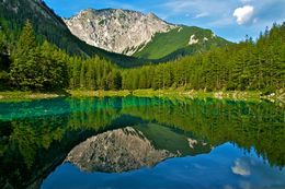 Lago verde Austria.jpg