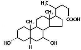 Ursodiol.jpg