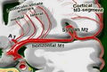 Miniatura de la versión del 06:23 22 mar 2025