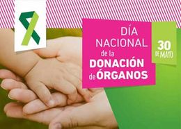Doncion de organos.jpg