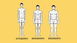 Tipos-cuerpo.jpg