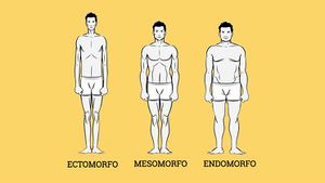 Tipos-cuerpo.jpg