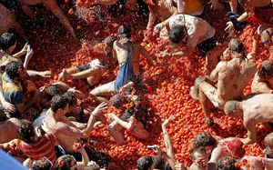 Tomatooo.jpg