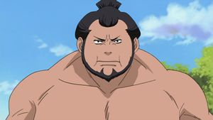 Yokozuna.jpg