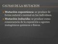 Miniatura de la versión del 08:15 17 jul 2024