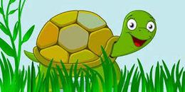Tortuguin.jpg
