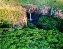 Kakadu.jpg