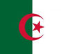 Bandera de Argel