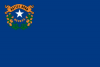 Bandera de Nevada