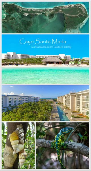 Archivo:Cayo Santa Maria Colach 001.jpeg