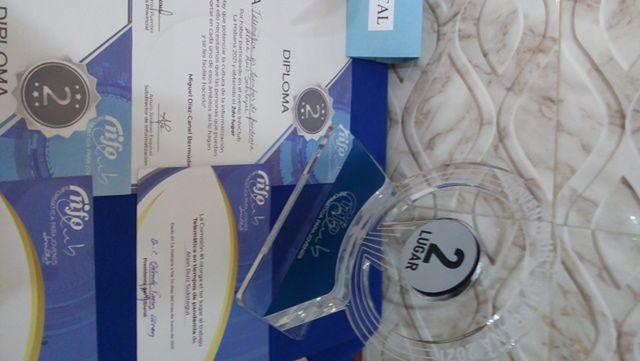 Archivo:2do lugar.jpg