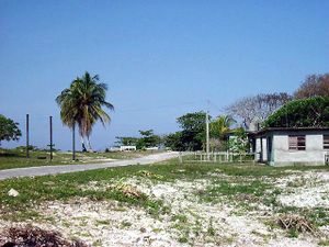 Cocodrilo sur.jpg