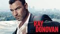 Ray donovan.jpeg
