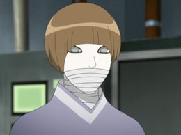 Sekiei Boruto.jpg