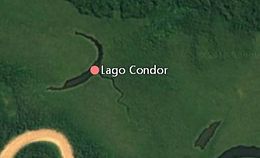 Condor lago.JPG