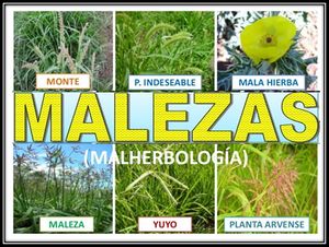 Malherbología.jpg