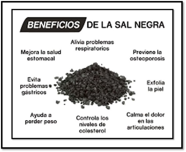 Archivo:Salnegra.jpg