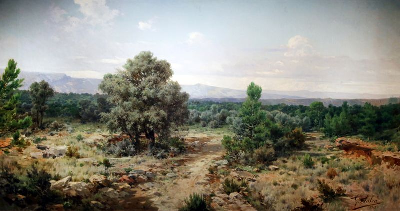 Archivo:Gonzalo Salva Simbor.jpg