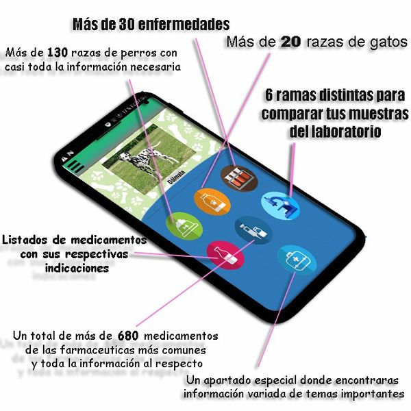 Archivo:Nivel0.jpg