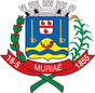Escudo de Muriaé