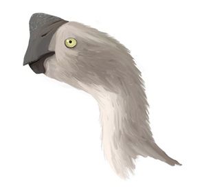 Nemegtomaia.jpg