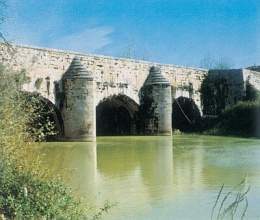 Foto de Acueducto del Río Jalón en Figueruelas, Zaragoza