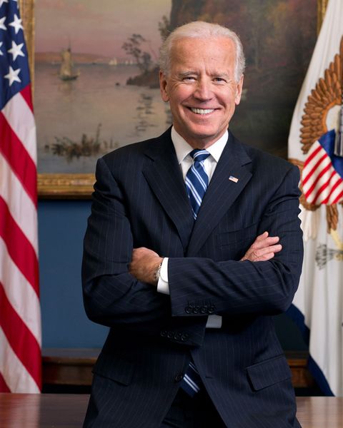 Archivo:Joe Biden foto oficial.jpeg
