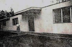 Vista parcial colegio NSM violeta.jpg