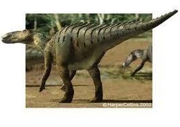 Anatotitan imagen jc 11.jpeg
