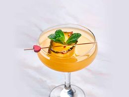 Coctel-barracuda.jpg