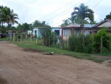 La paloma.JPG