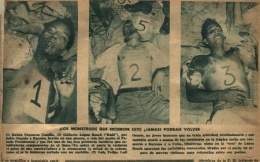 Noche del terror.jpg