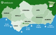 Ubicación de Ronda en la provincia de Málaga.