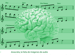 Anauralia.png