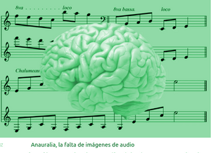 Anauralia.png
