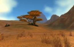 Barrens at Day.jpg