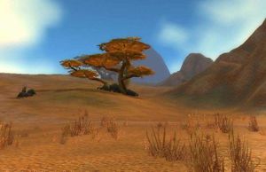 Barrens at Day.jpg