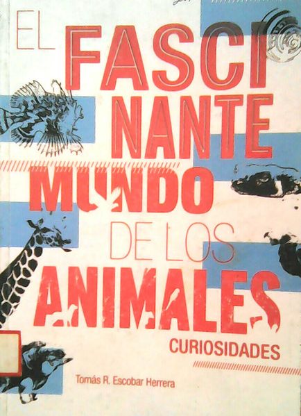 Archivo:Fascinante.JPG