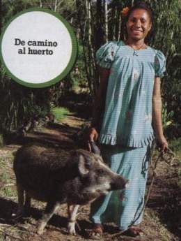 La cerdita.jpg