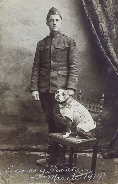 Archivo:Sargento Stubby2.jpg