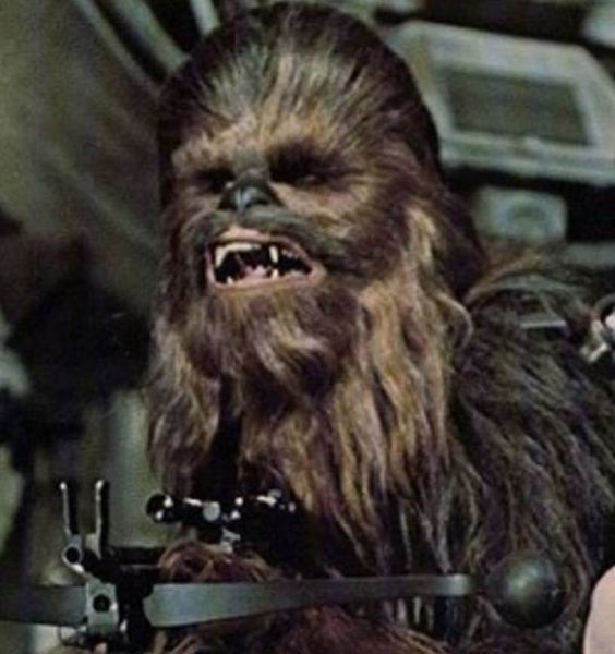 Archivo:Chewbaccawookie.jpg